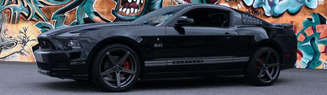 Mustang 355